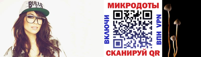 Псилоцибиновые грибы Psilocybe  наркота  Любим 